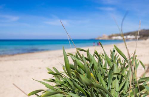 Lido Conchiglie House | Ocean View Retreat: 200m from Beach with Private Terrace