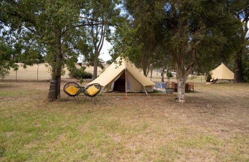 Parkes Resort | Pet-Friendly Retreat at Spicer Caravan Park - Family Fun Awaits