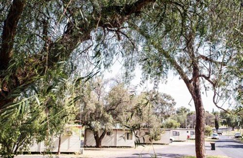 Parkes Resort | Pet-Friendly Retreat at Spicer Caravan Park - Family Fun Awaits