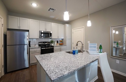 Charlotte Apartment | Pet-Friendly Spire Apartments with Breakfast & Kitchen Access