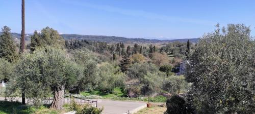 Giannades Apartment | Stylish Spiros House: Oceanfront Haven with 9.9/10 Rating