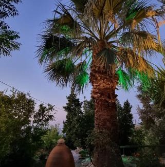 Armenistis House | Discover My Ikaria Home: Oceanfront Bliss Awaits You