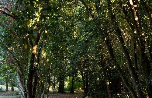 Cars House | Splendide Bâtisse Avec Piscine au Cœur des Vignes