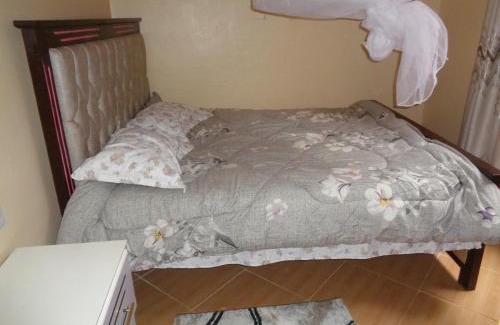 Wang'uru Apartment | Spoonbill Snug Spot BnB