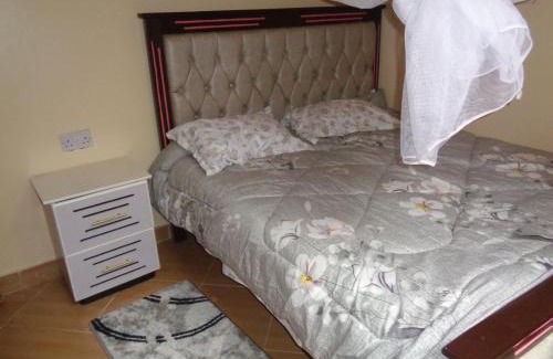 Wang'uru Apartment | Spoonbill Snug Spot BnB