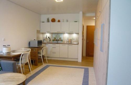 Rappele Apartment | Pet-Friendly Sport-Alpin-Wohnung-9 for Family Getaways