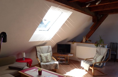 Hofsgrund Apartment | Sport Rees, Cottage, Schauinsland, Black Forest, Black Forest, Freiburg, Relax