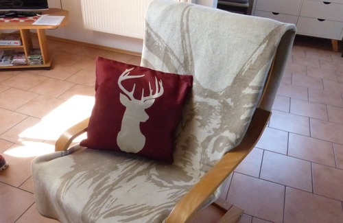 Hofsgrund Apartment | Sport Rees, Cottage, Schauinsland, Black Forest, Black Forest, Freiburg, Relax
