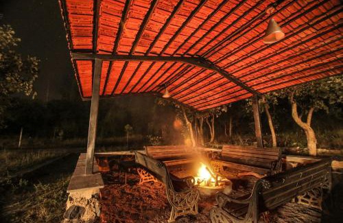 Tala Resort | Discover Maati Jungle Lodge Resort: Family-Friendly Retreat