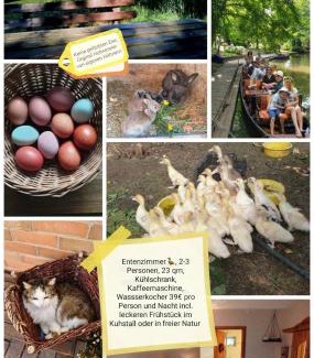Raddusch House | Family-Friendly Retreat at Spreewaldpension Beesk