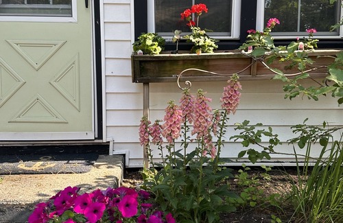 Spring Lake House | Spring Lake Cottage: Guest Rated 9.8 with Pool and Spa
