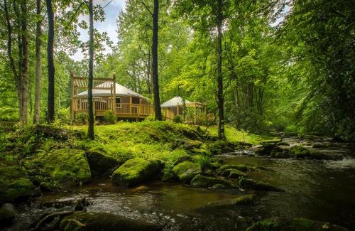 Topton Villa | Spring Ridge Yurt: Creekside Glamping with a Hot Tub
