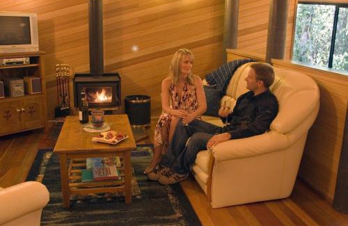 Springbrook Cabin | Experience Springbrook Lyrebird Retreat - 4 Star Comfort