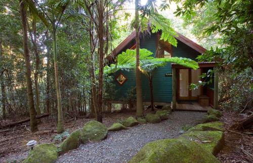 Springbrook Cabin | Experience Springbrook Lyrebird Retreat - 4 Star Comfort