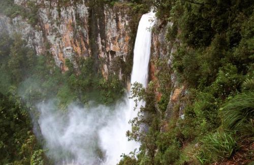 Springbrook Cabin | Experience Springbrook Lyrebird Retreat - 4 Star Comfort