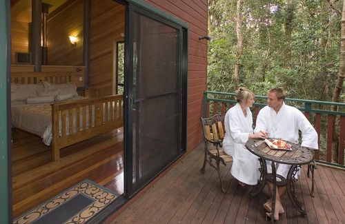 Springbrook Cabin | Experience Springbrook Lyrebird Retreat - 4 Star Comfort