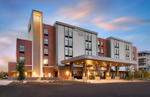 South Scottsdale Hotel | Stylish SpringHill Suites in Scottsdale with Pool & Breakfast