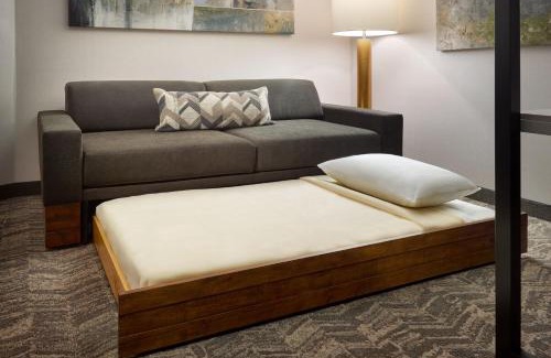 Arlington Hotel | Guest Rated 10/10 at SpringHill Suites by Marriott Arlington