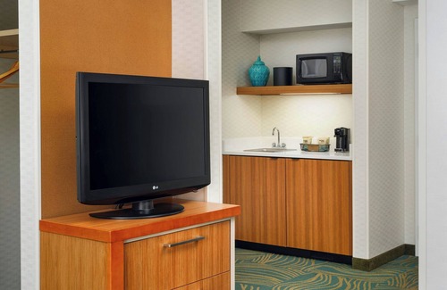 Burr Ridge Hotel | Eco-Friendly SpringHill Suites in Burr Ridge with Pool