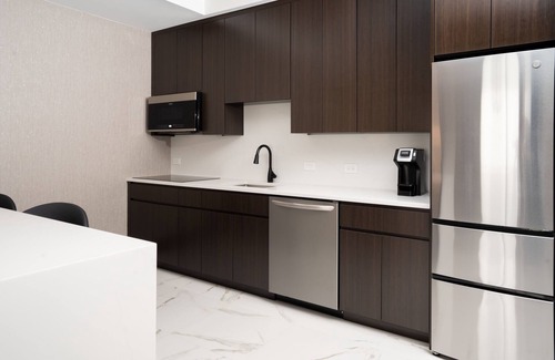 Chinatown Hotel | Premier SpringHill Suites by Marriott Chicago Chinatown