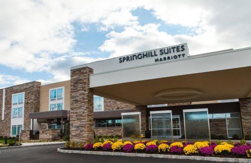 Somerset Hotel | Family-Friendly SpringHill Suites with Pool in Somerset