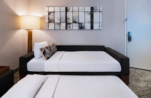 McNeil Hotel | Discover SpringHill Suites by Marriott Austin North