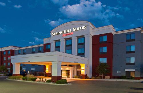 El Paso Hotel | Pet-Friendly Retreat at SpringHill Suites by Marriott El Paso