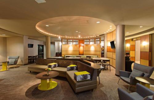 El Paso Hotel | Pet-Friendly Retreat at SpringHill Suites by Marriott El Paso