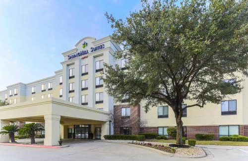 McNeil Hotel | Inviting SpringHill Suites by Marriott Austin with Breakfast