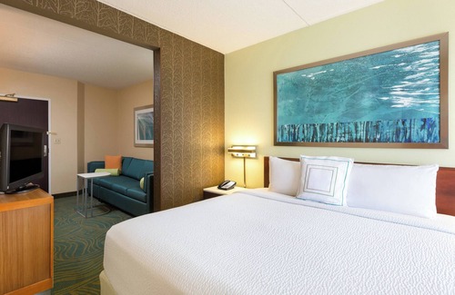 Franklin Park Hotel | Discover SpringHill Suites by Marriott Austin South