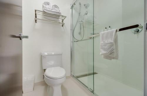 Dallas Hotel | Relax at SpringHill Suites Dallas: Pool & Family-Friendly
