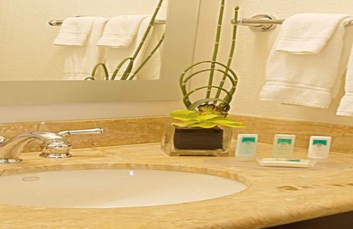 Westshore Hotel | Discover SpringHill Suites by Marriott Tampa Westshore