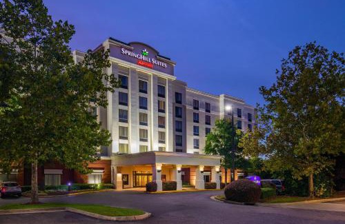 Norfolk - Virginia Beach Hotel | Family-Friendly SpringHill Suites by Marriott Norfolk Beach