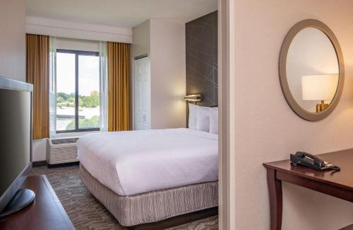 Norfolk - Virginia Beach Hotel | Family-Friendly SpringHill Suites by Marriott Norfolk Beach