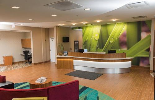 Williamsville Hotel | Modern SpringHill Suites by Marriott Buffalo Airport Retreat