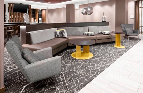 Charlotte Hotel | Discover SpringHill Suites Charlotte Airport with Pool & Spa