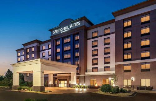 West Central Westminster Hotel | Pet-Friendly SpringHill Suites in Westminster with Pool Access