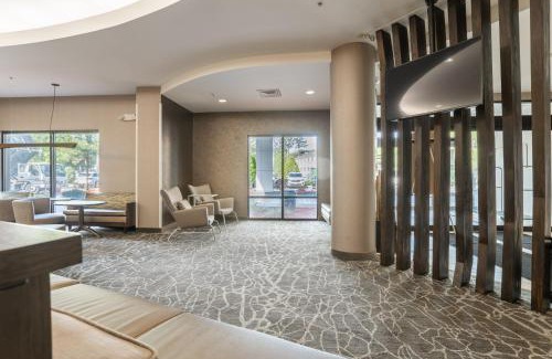 Gainesville Hotel | Discover SpringHill Suites Gainesville with Pool & Ocean Views