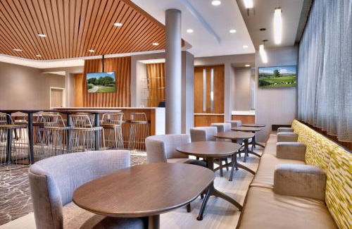 Colorado Springs Hotel | Pet-Friendly Springhill Suites Near Air Force Academy