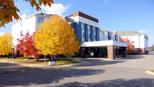 St. Louis Park Hotel | Discover SpringHill Suites Minneapolis West - Family-Friendly Stay