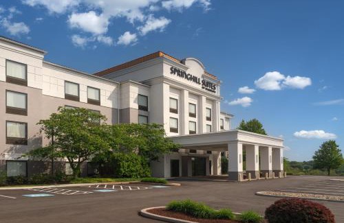Willock Hotel | Family-Friendly SpringHill Suites in West Mifflin