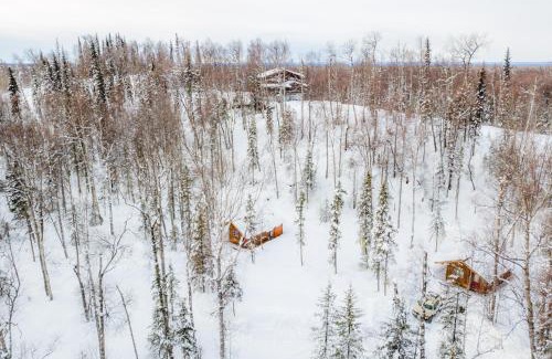 Talkeetna House | Pet-Friendly Retreat at Spruce Cabin - Rated 9.5/10!