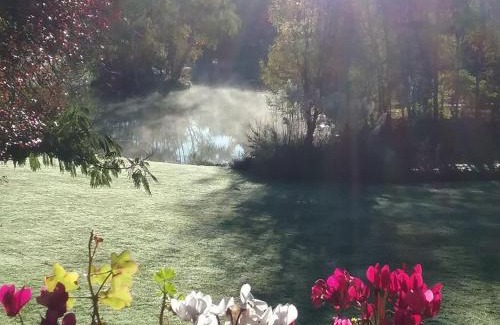 Sauviat-sur-Vige Bed & Breakfast | Relax at Spruce Lake: Family-Friendly with Breakfast & Dining