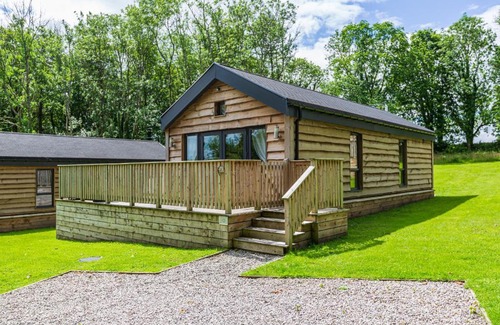 Newton Stewart Ski Chalet | Cozy Squirrel Lodge 41: Pet-Friendly Retreat with Hot Tub