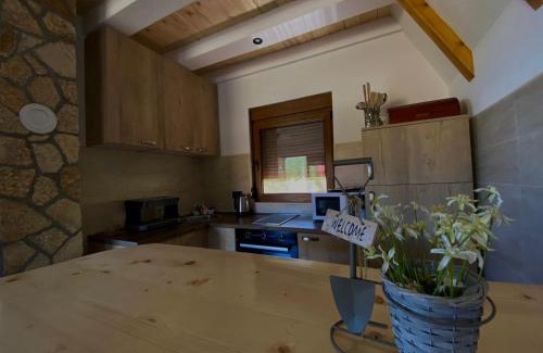 Njegovuđa Villa | Exceptional Guest House Mina with Breakfast and Family-Friendly Vibe