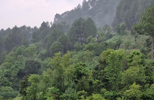 Muzaffarabad Bed & Breakfast | Cozy Srinagar Homes: Wheelchair Accessible Family Retreat