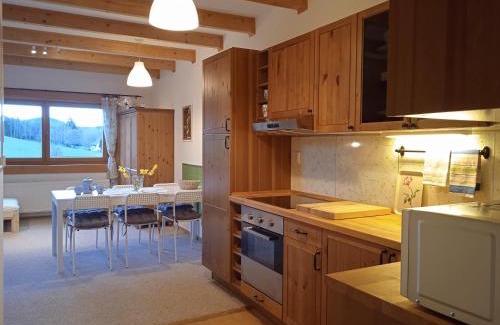 Svinna Apartment | Top-Rated Srub Javorná - Family & Pet-Friendly Retreat