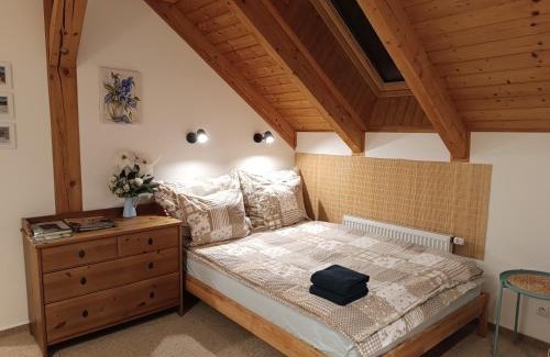 Svinna Apartment | Top-Rated Srub Javorná - Family & Pet-Friendly Retreat