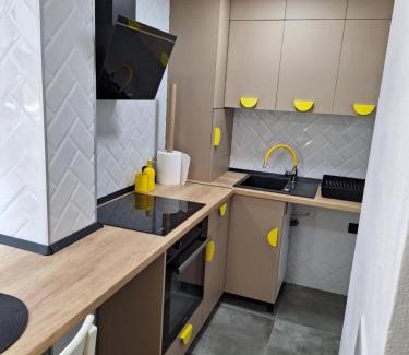 Ocna Mures Apartment | Ssalamandra home's