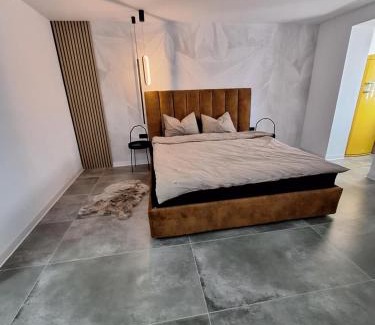 Ocna Mures Apartment | Ssalamandra home's